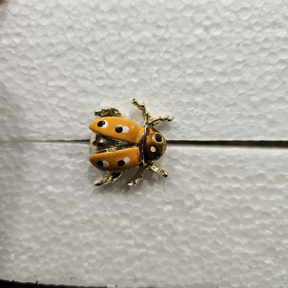Vibrant Orange Ladybug Brooch